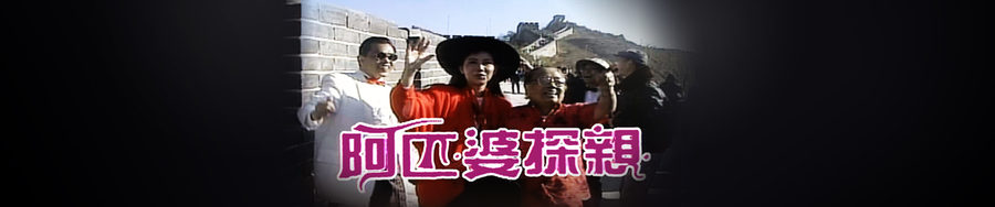 A Pi Po Tan Qin (1990)